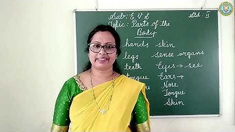 Bridge Course : Grade 2 - Environmental Science - Parts of the Body