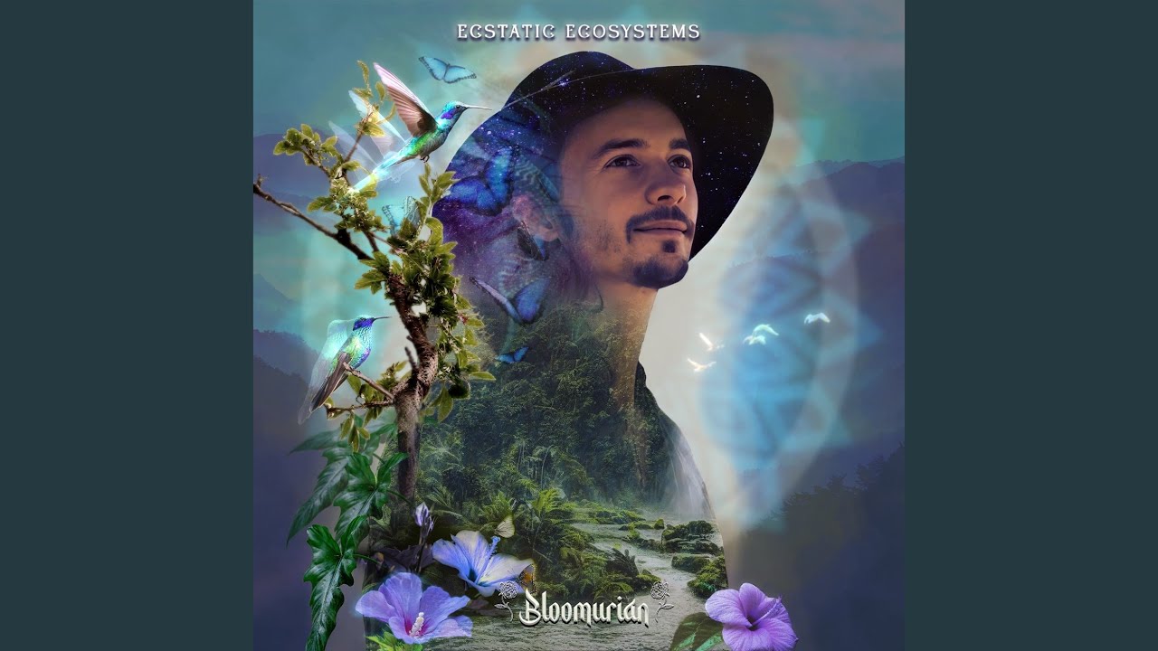 Weightless adlı videoyu YouTube'da izle Weightless adlı videoyu YouTube'da izle