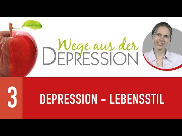 3. Depression - Lebensstil - Wege aus der Depression - Dörthe Meisel