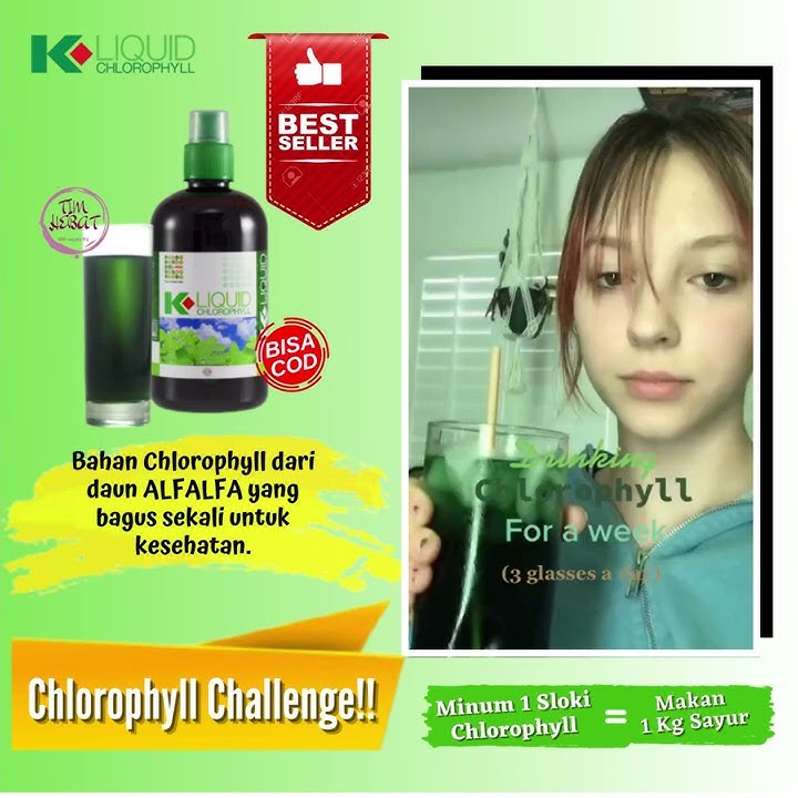 Klorofil k-link cocok sebagai minuman kesehatan #Pengetahuan
