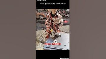 Fish Processing Machines in Action! 🐟⚙️ Efficiency Meets Precision! #fishprocessing #seafoodtech