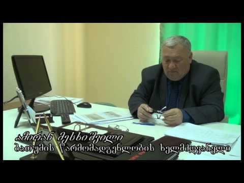 გრიგოლ რობაქიძის სახელობის უნივერსიტეტის ბათუმის წარმომადგენლობა