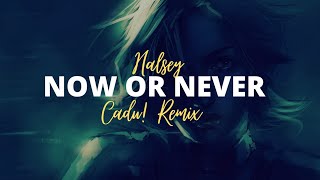 Halsey - Now Or Never ( Cadu! Remix ) Lyrics @icadu