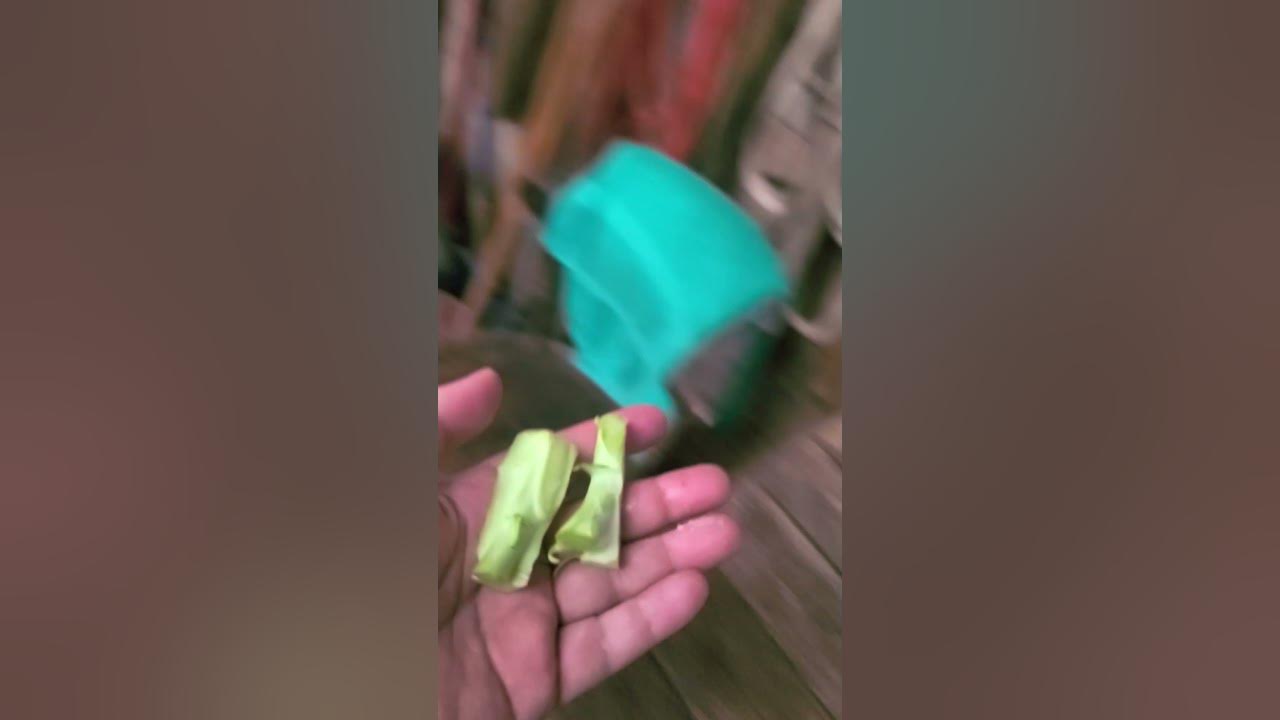 This week on, "What Will Apachie Eat?" broccoli 🥦 YouTube