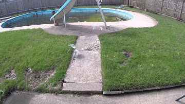 T-Rex Align 450 Plus DFC Crash