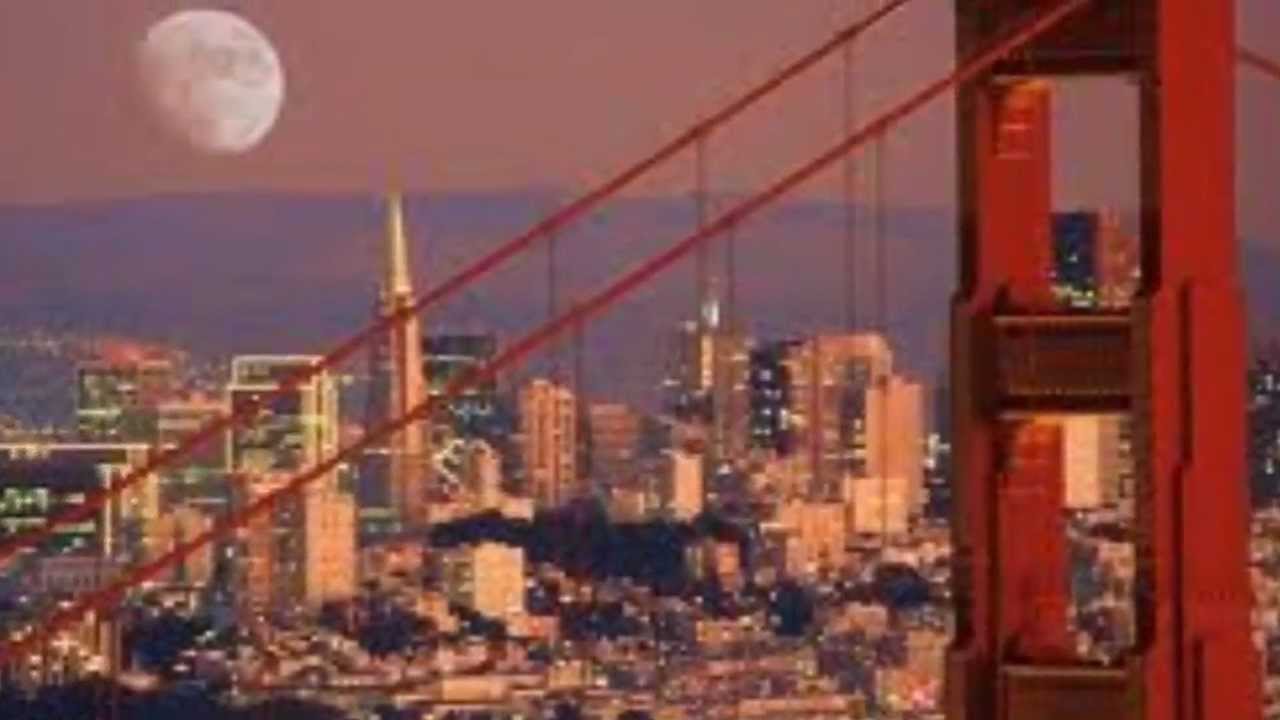 Go Niners by Matt Venuti