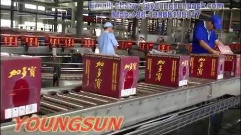 Wraparound case packer & shrink wrapper line-YOUNGSUN