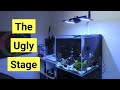 Nano reef tank first 3 months the ugly stage adding fish  corals and more  cade nano pt 2