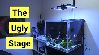 Nano Reef Tank First 3 Months: The Ugly Stage, Adding Fish & Corals And More! | Cade Nano Pt 2