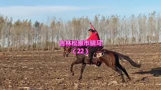 纯血不愧是速度之王，稍微比了下速度感觉青马完全不是一个级别！#戶外 #馬 #骑行