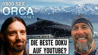 Robert Marc Lehmanns Orca Abenteuer | Filmemacher reagiert