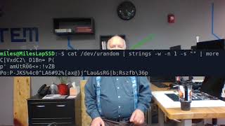 MonkeyVsPerl