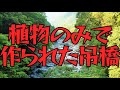 03 【世界三大秘境】『祖谷のかずら橋』は実在した!？