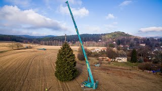 Kácení vánočního stromu na Staromák- Rynoltice 25.11. 2018 - Švestka