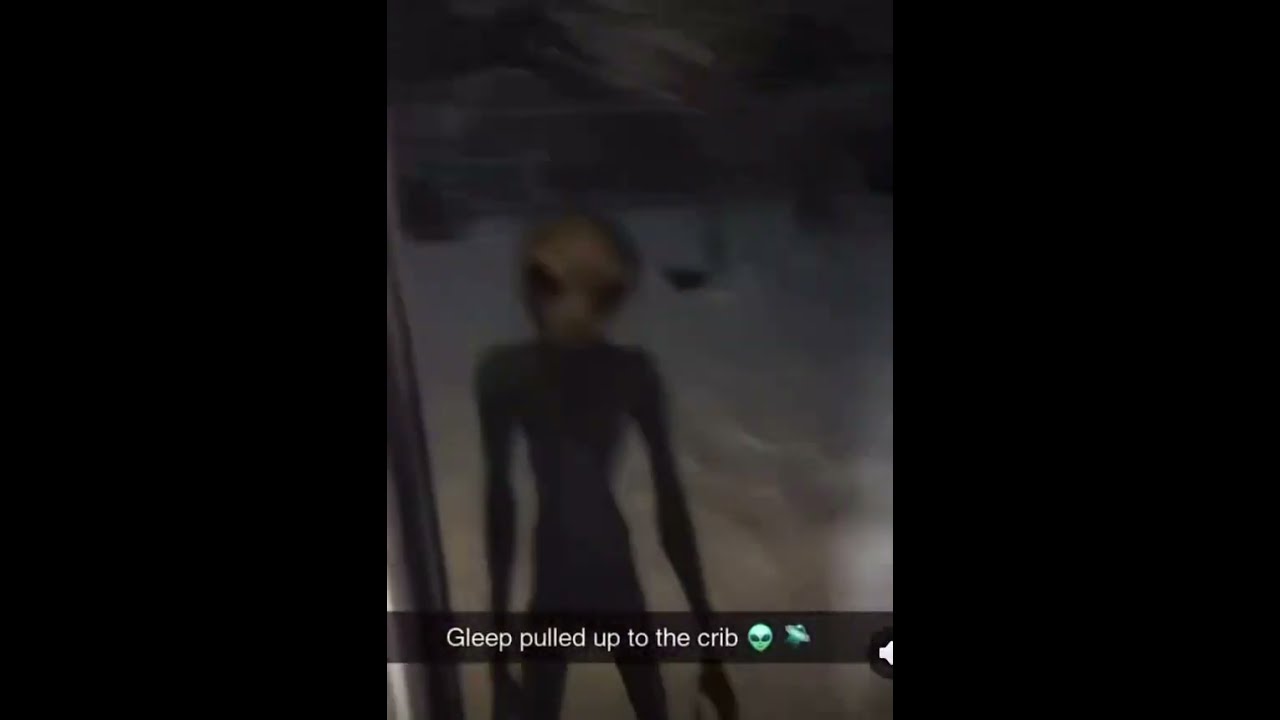 Gleep Is Here Funnymemes Memes Youtubeshorts Meme Shorts
