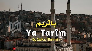 YA TARIM يا تريم SAIFUL MUKMIN Lirik Arab Latin Terjemahan