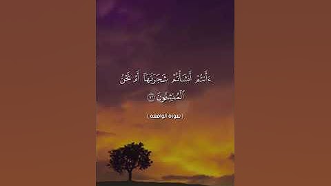 ما تيسر من سورة الواقعة لفضيلة القارئ / عماد ربيع أبو عشره