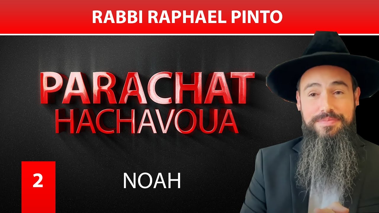NOAH (2) - Par Rabbi Raphael Pinto