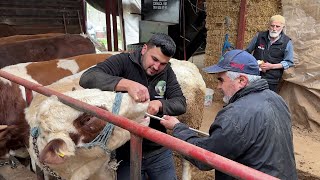 Kurbanliklara Parazi̇t Tedavi̇si̇ Uyguluyoruz