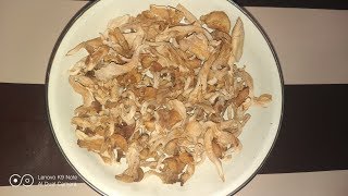 #Dry Mushroom Details#Dried Mushroom Details - Tamil - Thangam Mushroom Farm