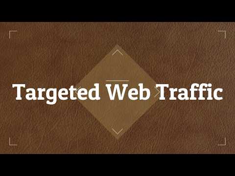 buy web traffic experts