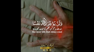 ⌛ولن يؤخر الله نفسا إذا جاء أجلها🍂 سورة المنافقون:١١|شريف مصطفى|Surah alMunafiqoon:11|Sherif Mostafa
