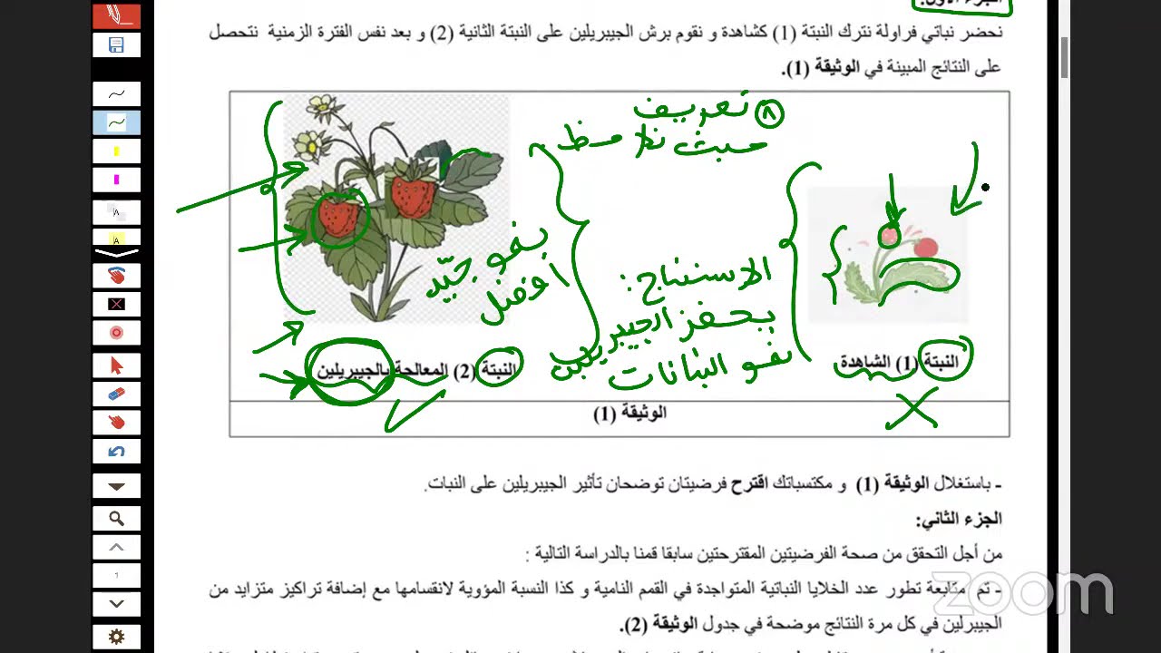 فرض مقترح الفصل الأول علوم 1 ج م ع ت