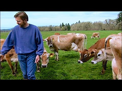 Organic Dairyman: Director's Cut