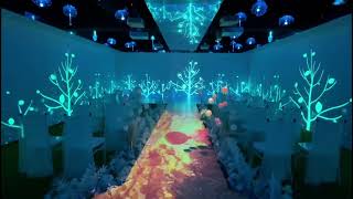 Hologram Banquet Hall, Immersive Room Projection, Wedding Projection, Birthday Projection