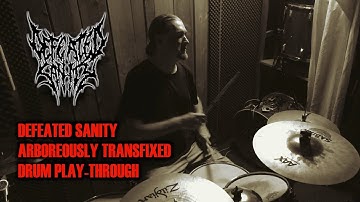 LILLE GRUBER // DEFEATED SANITY - ARBOREOUSLY TRANSFIXED // DRUM PLAY-THROUGH