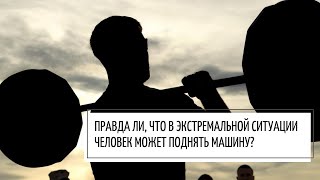 Правда ли, что в экстремальной ситуации человек может поднять машину?