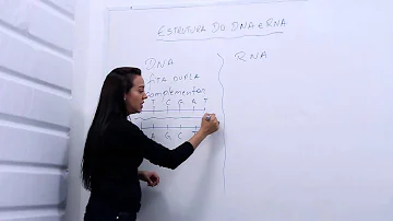 Qual é a estrutura química do DNA e RNA?