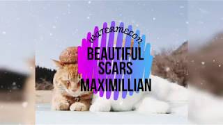 BEAUTIFUL SCARS - MAXIMILLIAN (LYRICS)