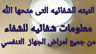 علاج الكحه بجميع أنواعها والتخلص من البلغم بسهوله @