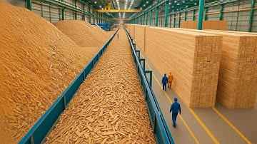 How Millions Of Particle Boards Are Made From Recycled Wood Scraps In Big Factories