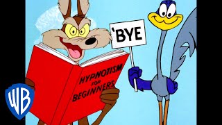 Looney Tunes | Hypnotism for Beginners | Classic Cartoon
