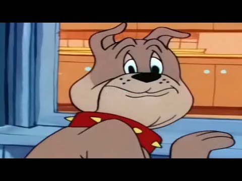 Tom S Photo Finish Tom And Jerry Episode 109 T J 