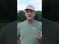 Iowa strawberry crop struggling with wild weather flucuations