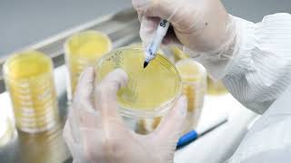 Quality control and quality assurance in autoinjector manufacturing