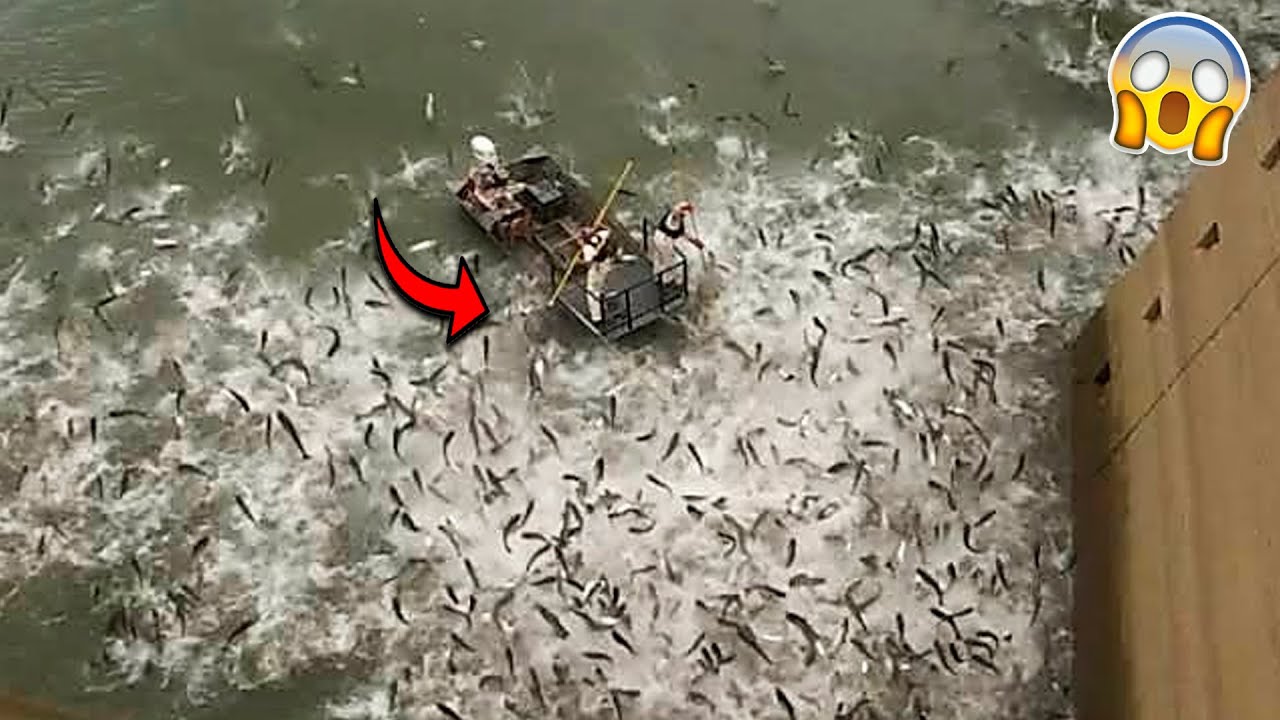 ESSA NOVA TÉCNICA DE PESCA SURPREENDEU ATÉ ESPECIALISTAS