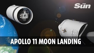 Apollo 11: quick guide to the lunar landing
