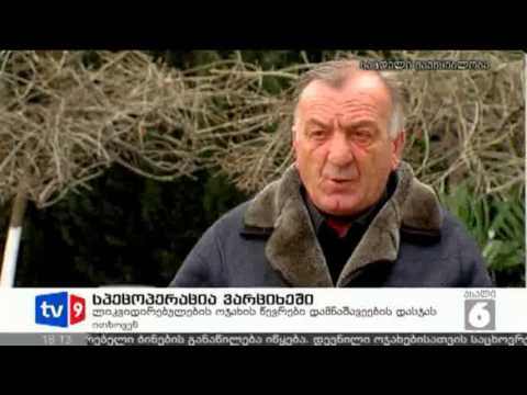 ახალი 6 | სპეცოპერაცია ვარციხეში | 18.03.13