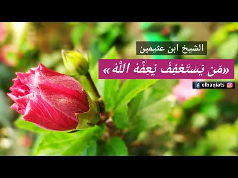 م ن ي س ت ع ف ف ي ع ف ه الل ه الشيخ ابن عثيمين