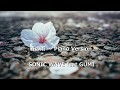 【Vocaloid】 春の雨 - SONIC WAVE feat GUMI 【GUMI】