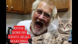 Злой Дед НЕНАВИДИТ песню про котов