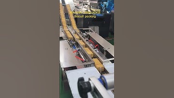Do you know biscuit packing machine?#packingmachine #packagingmachine #machine #factory #package