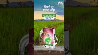 Glanz स रख फसल क सरकषत और सवसथ