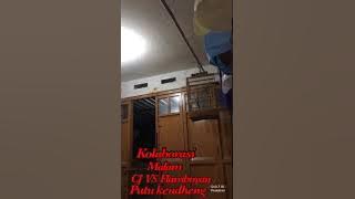 Cucak jenggot vs flamboyan/wergan jawa