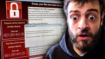 Running 2 Computer Viruses at Once..