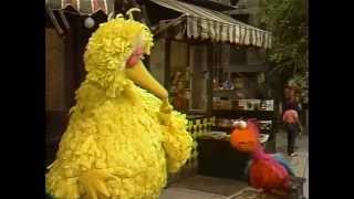 sesame street bird classic fly wants